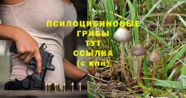молекула духа Абинск
