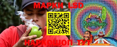 apvp Тулун