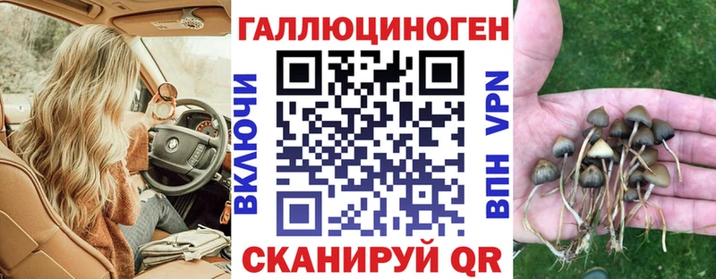 Псилоцибиновые грибы GOLDEN TEACHER  Ростов-на-Дону 